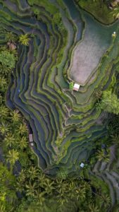 Top 5 Most Instagram-worthy Spots in Bali