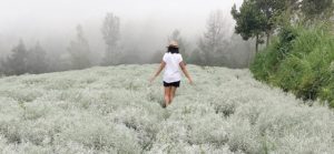 Top 5 Recommended Natural Spots to Explore for Bali’s First-timer