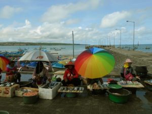 Fresh Catch at Kedonganan Fish Market