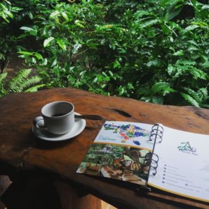 The Insight of Kopi Luwak