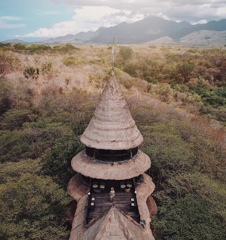 The Menjangan Bali - insight bali