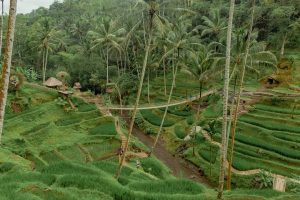 Top 4 Reasons to Come to Alas Harum Agro Tourism