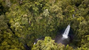 Enjoying the Exotic of Nungnung Waterfall