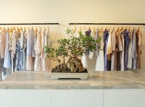 One Stop Shopping in Canggu