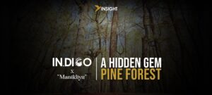 INDIGO x A Hidden Gem Pine Forest “Manikliyu”