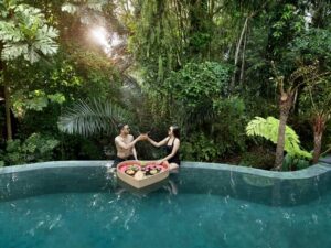 Perfect Honeymoon villa in Ubud