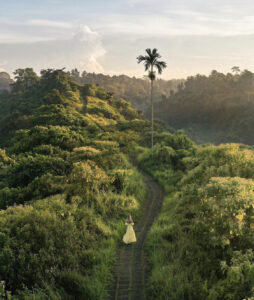 Ubud Itinerary: The Ultimate 3 Days Ubud Experience