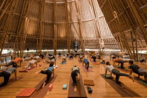 Celebrate World Wellness Weekend at Fivelements