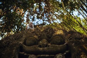 Five Places to Enjoy Your Summer Holiday in Ubud