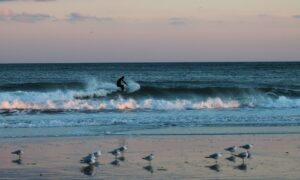 Best Places to Enjoy Your Holiday in Canggu