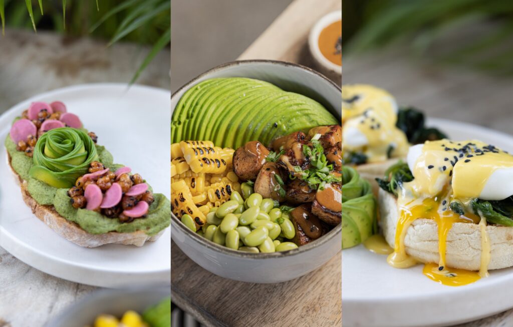 The Avocado Factory: A Fresh Home Unveiled