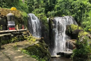 Taman Beji Griya Waterfall: A Sacred Cleansing Ritual in Bali