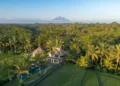 An Escape to Serenity: Discover the Charm of Amala Villas Ubud