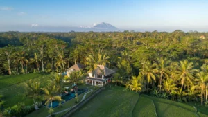 An Escape to Serenity: Discover the Charm of Amala Villas Ubud