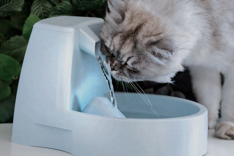 Hydration Is Their Love Language