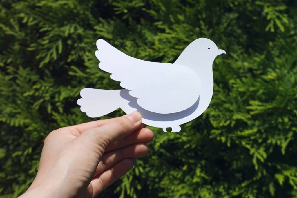 Calming Escapes for the Soul Where Bali Breathes Peace