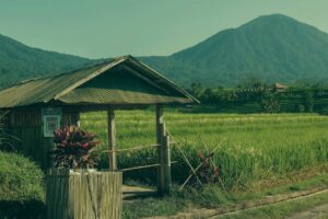 How Bali Slows Down Before the New Year