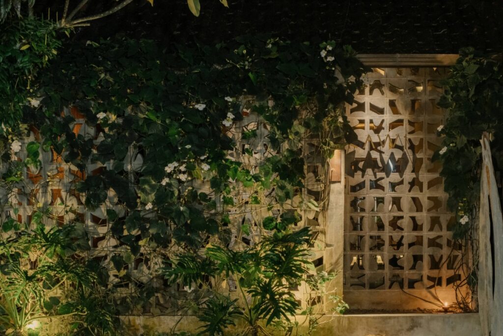 KAWI’s Creative Approach to Cocktail Culture