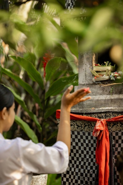 Alaya Hotels & Resorts