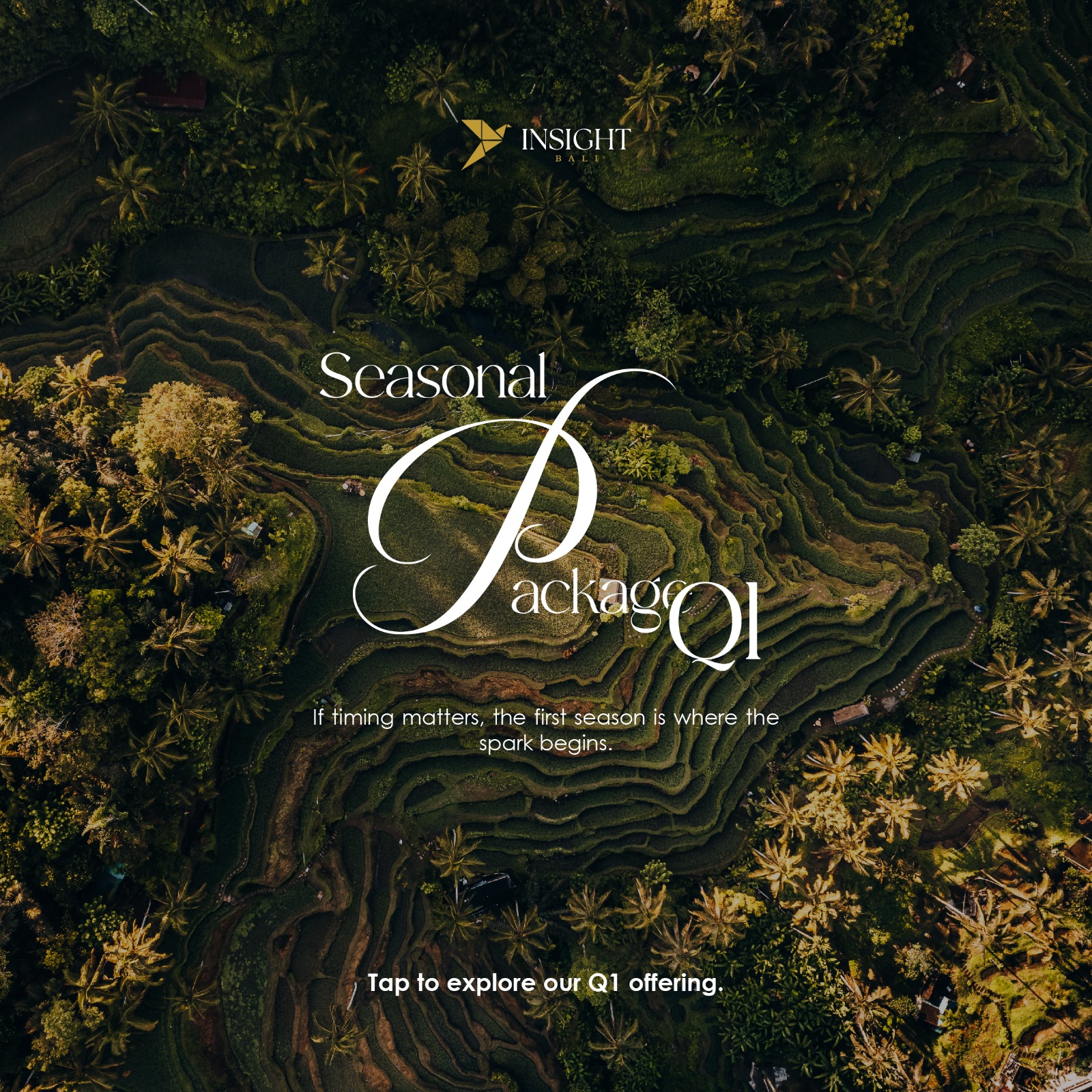 SEASONAL PACKAGES RATE CARD INSIGHT BALI