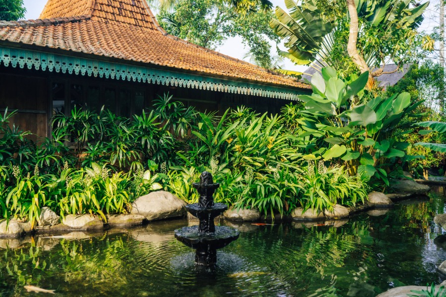 One Day at Uma Kalai