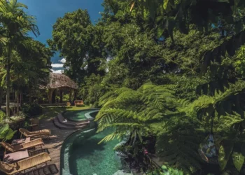 Jungle resort in Ubud with a pool, suitable for travelers seeking a peaceful stay.